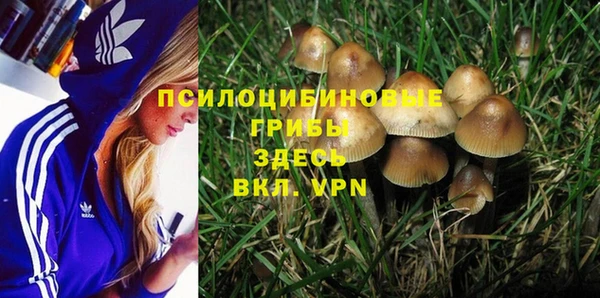 гидропоника Аркадак