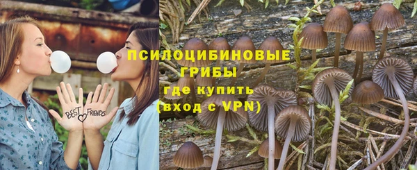 бутират Баксан