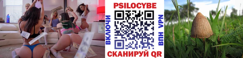 Галлюциногенные грибы Cubensis Стрежевой
